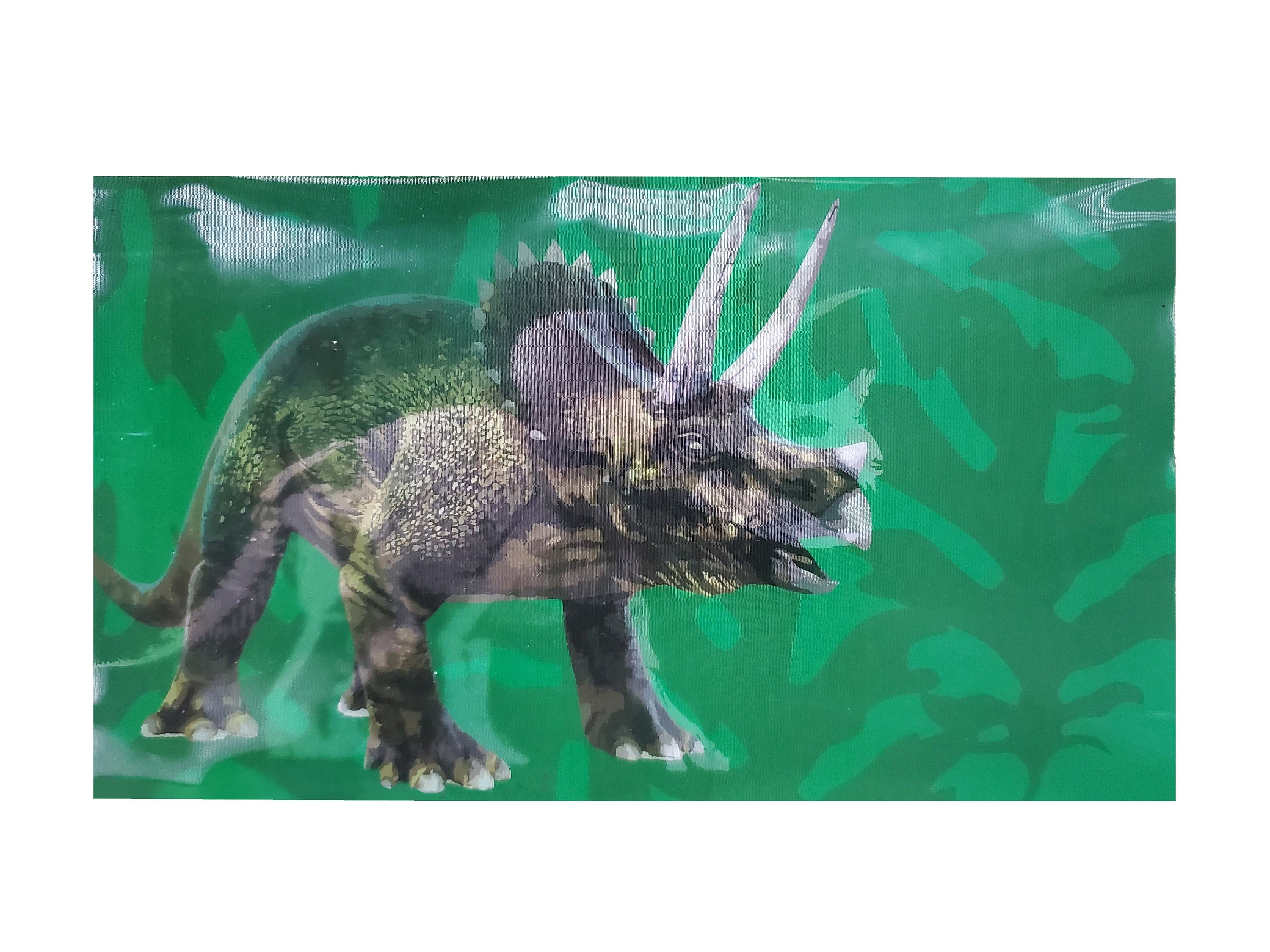 3D Lenticular Patches Appliques Children's Boys Iron-on Dinosaur Shark Skeleton FREE SHIPPING