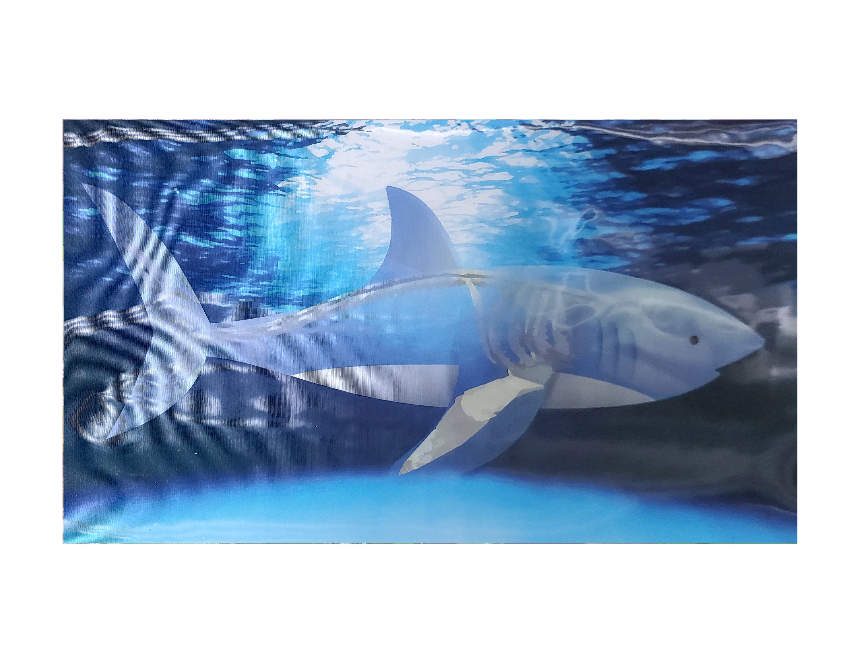 3D Lenticular Patches Appliques Children's Boys Iron-on Dinosaur Shark Skeleton FREE SHIPPING
